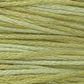 Weeks Dye Works 1