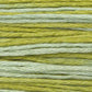 Weeks Dye Works 2