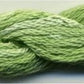 DD Spearmint